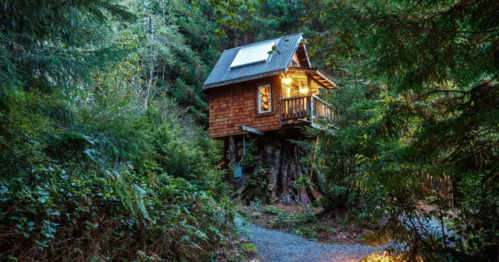 A treehouse sits high on a tree stump and is surrounded by thick forest and a bright yellow light escapes from the structure's windows.