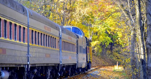 train surrounded by fall foliage