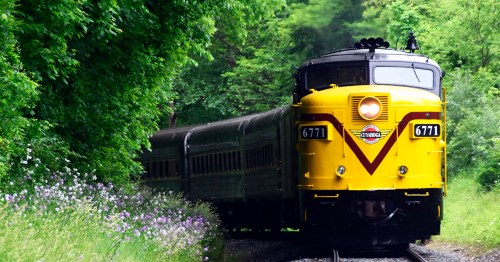 Train with yellow front surrounded by green trees