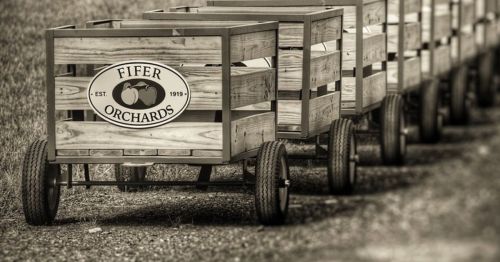 A wooden cart that says "Fifer Orchards"