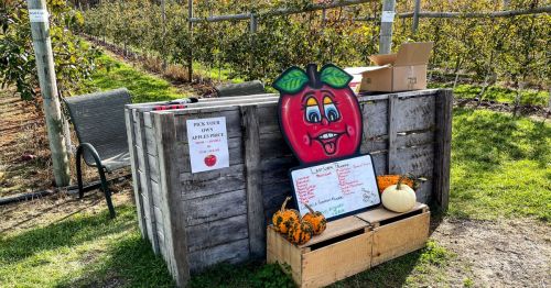 A apple-shaped sign in front of a stand with small pumpkins.