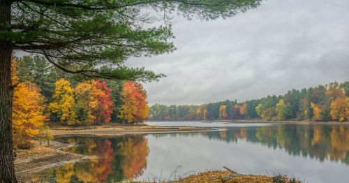A colorful fall scene with a pond.