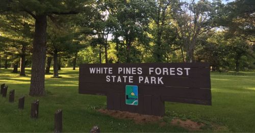 A wooden sign that says “White Pines Forest State Park”