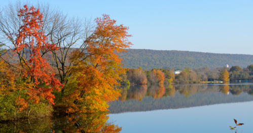 A tranquil pond surrounded by fall foliage with a ridge line in the background under a bright blue sky