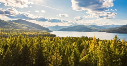 A scenic Western mountain lake surrounded by early fall foliage with low mountains in the background on a sunny day.