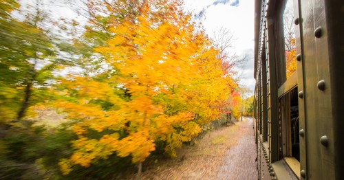 A train passes by tree with orange leaves.