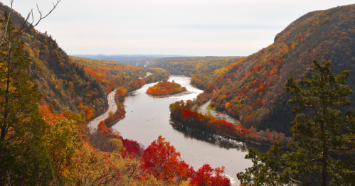 Mount Tammany in the fall, showcasing beautiful lake surrounded by vibrant red fall foliage