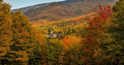 A colorful fall forest with a town sticking out in the center of hills.