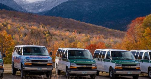 Cars parked in front of a colorful forest.
