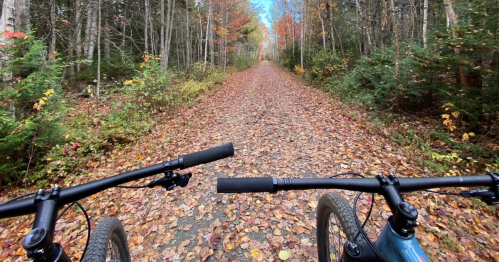 A first-person view of two bikes on a leaf-covered forest trail surrounded by trees with fall colors.