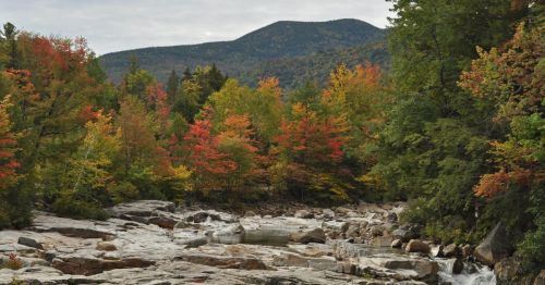 A fall forest with rapids in the foreground.
