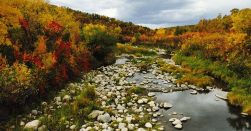 A wide, shallow, rocky river cuts through a colorful valley in Pembina Gorge, surrounded by red, orange, and yellow foliage.