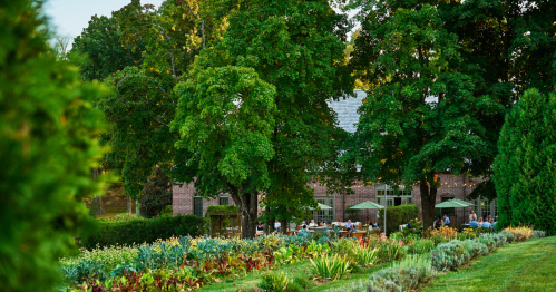 The garden foliage at The Pendry Natiar