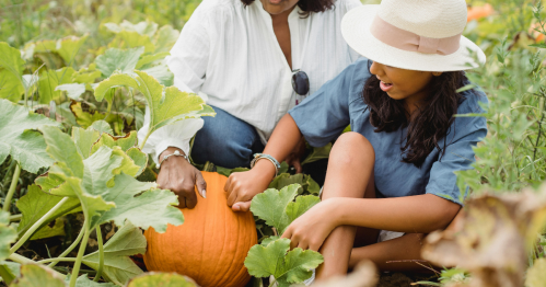 A child in a sun hat and a woman kneel in a pumpkin patch, touching a large orange pumpkin.