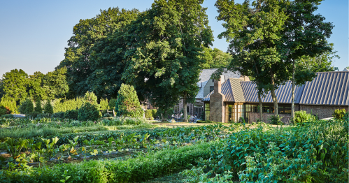 The garden of the Pendry Natiar