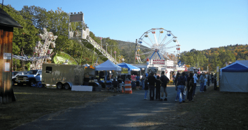 A fair with a Ferris wheel in the background.