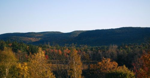 Colorful trees with rolling forest-covered hills in the background.