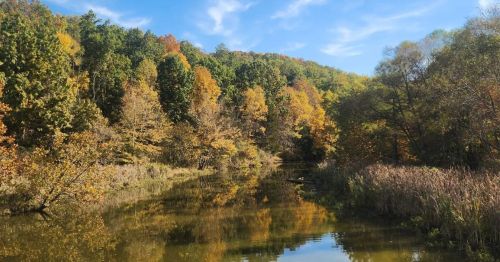 A river running along a colorful fall forest.