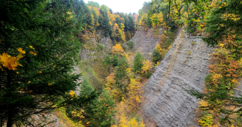 The massive Whetstone Gulf, a deep gorge with steep, rocky cliffs carved into the Tug Hill Plateau.