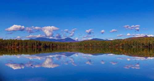 pine and deciduous trees line the shore of a lake, reflecting in its waters, at white lake state park in new hampshire in the fall