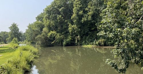 A river running through a forest.
