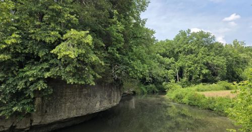 Stone cliffs covered in trees overlook a river in a forest.