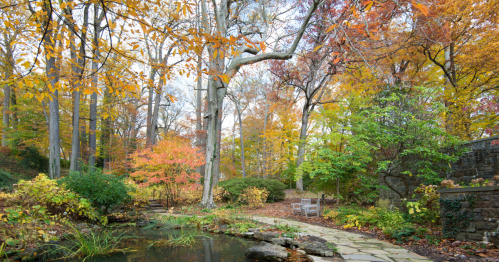 A winding stone path and bench by a pond surrounded by vibrant autumn trees and colorful foliage at Winterthur.