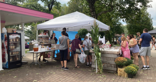 a group of festival-goers surround a table with pies, bags of apples, and a cooler of cider at the annual apple festival at johnston memorial park