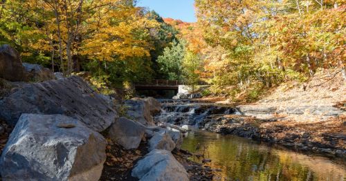 Autumn foliage surrounds Whetstone Creek in New York, surrounded by a rocky creek bed and a bridge in the distance.