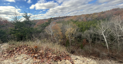 An overlook of Rock Bridge Memorial State Park