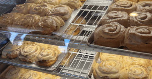 Silver trays with fresh cinnamon rolls topped with frosting, lined up on white racks in a cooler.