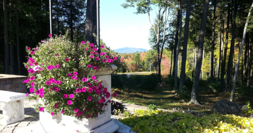 Flowers and grounds of a castle rental in Fitzwilliam, New Hampshire