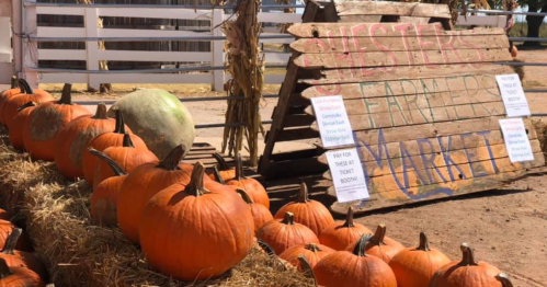 a sign for chesters farmers market next to hay bales displayong orange pumpkins at Chester's Party Barn & Pumpkin Patch in Oklahoma