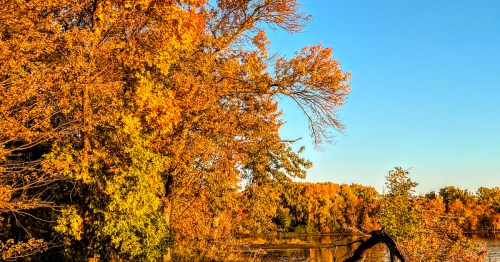 Vibrant autumn trees with orange and yellow leaves reflect in calm water under a clear blue sky.