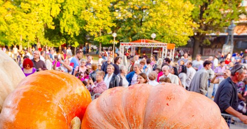 A crowd looks on at a display of pumpkins at a fall festival.