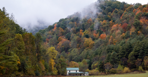 Foggy mountain in the fall with a small farm house at the base.