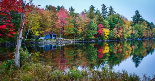 Pond with vibrant red, yellow, and green foliage in Maine