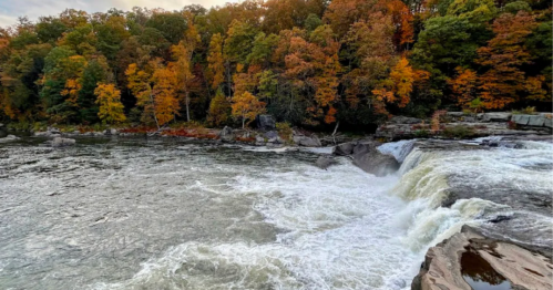 Ohiopyle Falls surrounded by vibrant foliage