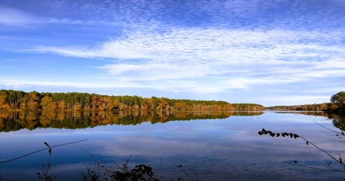 Views of a tranquil lake with colorful autumn trees at an underrated state park in Arkansas.