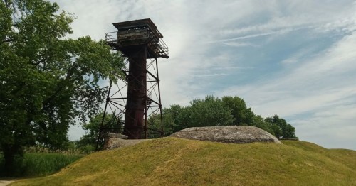 A wooden watchtower sits over a grassy knoll under a cloudy day.