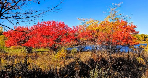 A serene river surrounded by trees in autumn colors, reflecting the vibrant foliage in the water.