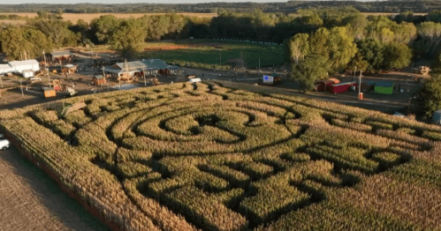 aerial shot of a corn maze at gary's berries fall festival in grantville, kansas