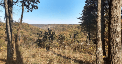 The high point of Shawnee State Park overlooking the state forest.