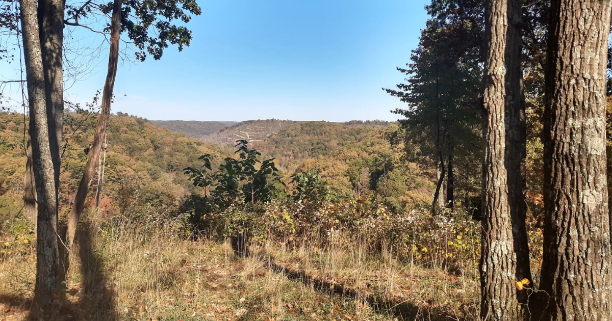 Hidden Ohio State Park Perfect for Fall Getaway