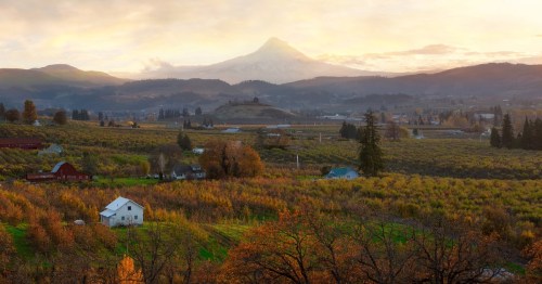 A mountain shrouded in morning mist looms over a farmland valley in the grasp of autumn.