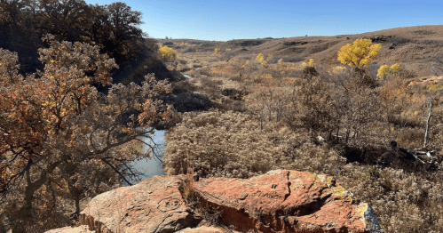 An overlook at Kanopolis State Park that looks over a creek