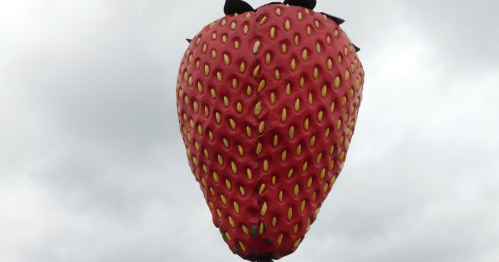 A giant red strawberry statue in Iowa against a cloudy sky
