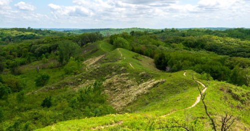 Loess Hills Forest Overlook along the Preparation Loop of the Loess Hills National Scenic Byway, just outside of Preparation Canyon State Park in Monona County, Iowa.