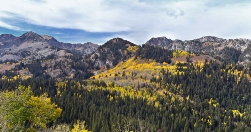 Panoramic views of mountains covered in pine trees and golden fall foliage along a mountain pass by Midway, Utah.