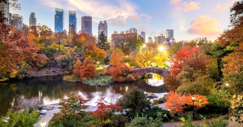 Vibrant trees adorn Central Park in autumn in midtown Manhattan, New York City.